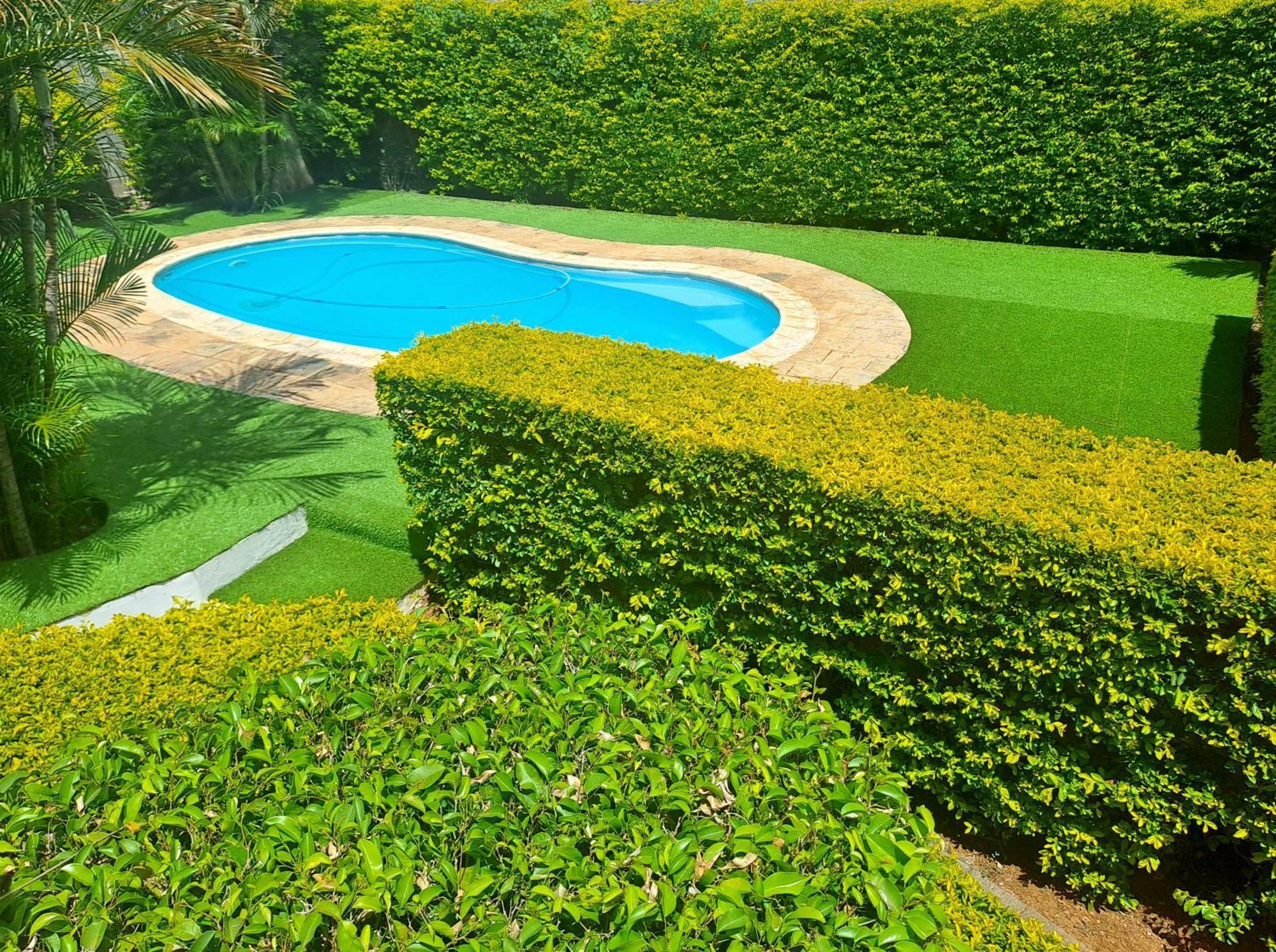 Appartement Paisible Avec Jardin & Piscine Albion Extérieur photo